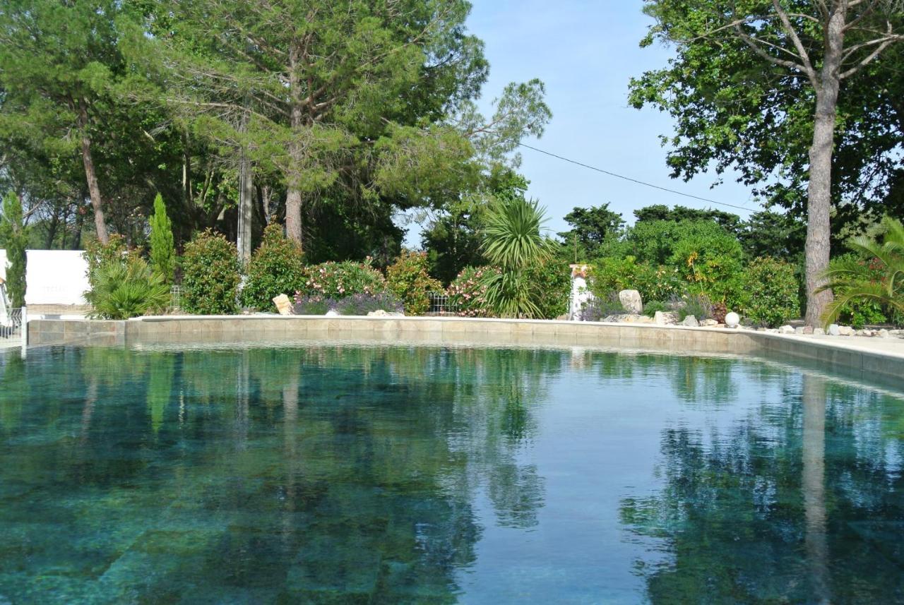 Bed and Breakfast Grand Tamaris Hosting Arles Exterior foto